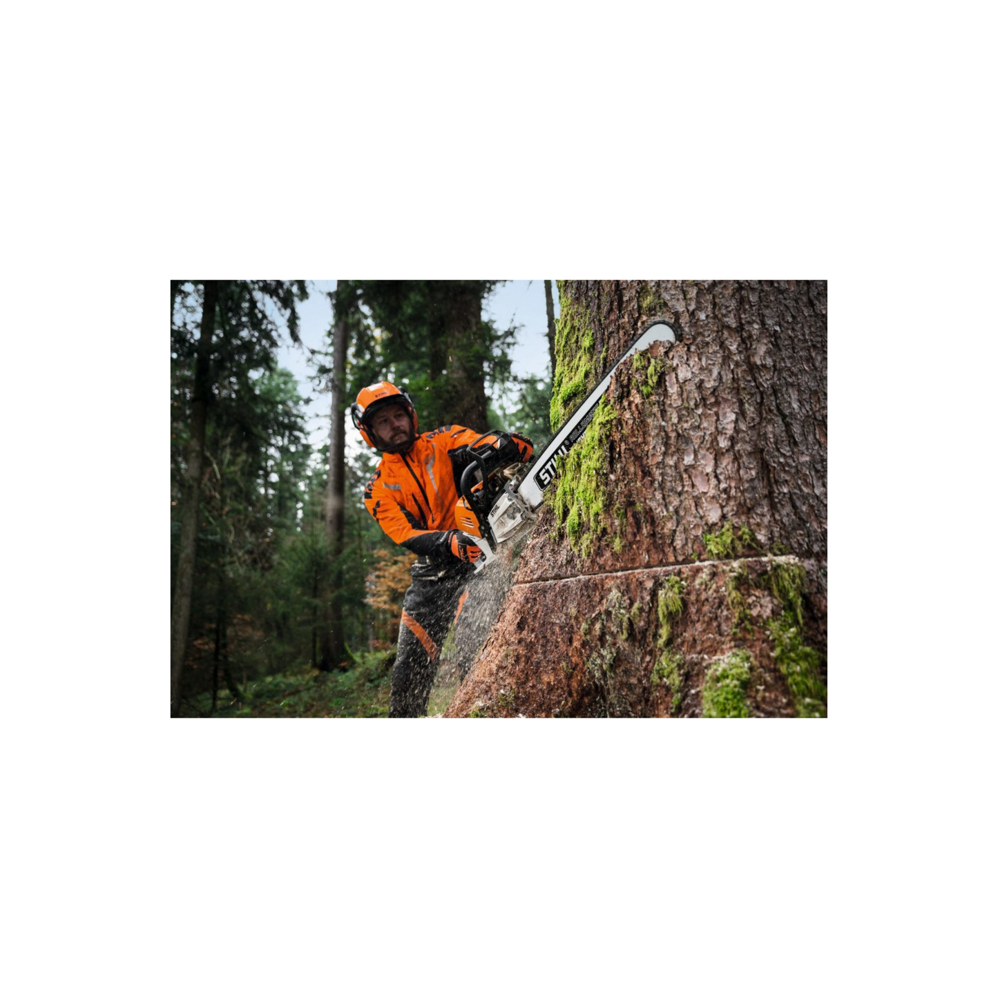 Stihl chainsaw MS 181 30 cm