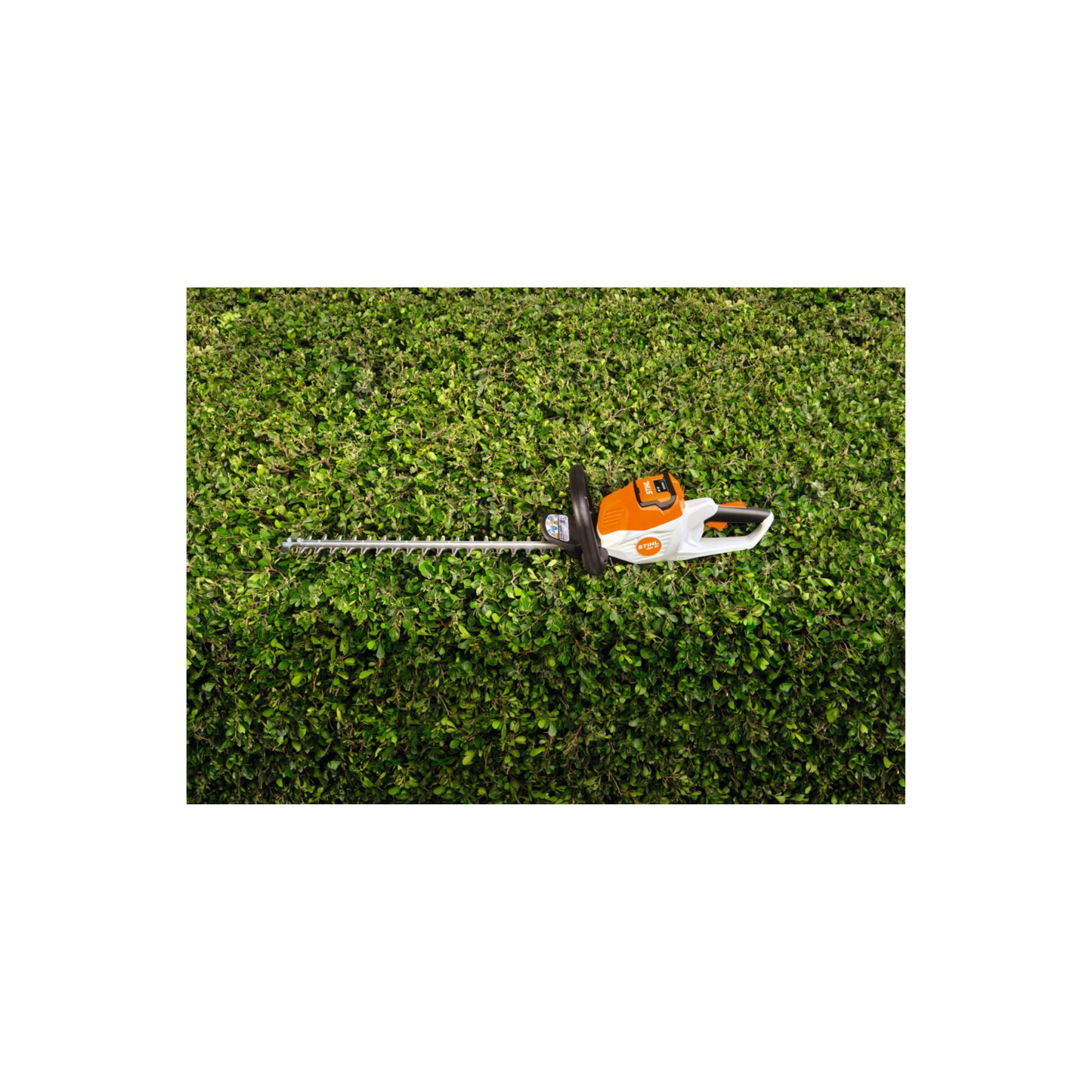 STIHL Akku-Heckenschere HSA 50 – Leise & leicht mit STIHL AK-System