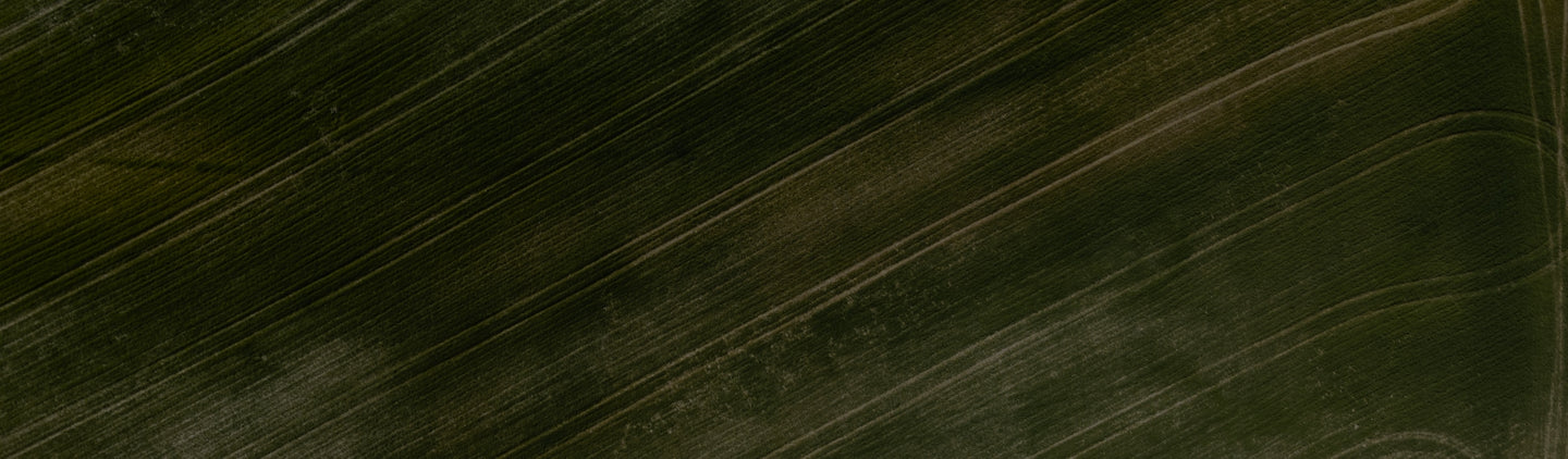 Background Footer